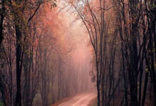 领先优势明显引爆全场！内马尔意外战胜掘金赢得满堂喝彩